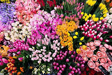 《发条革命》和《生化奇兵：无限》视频对比